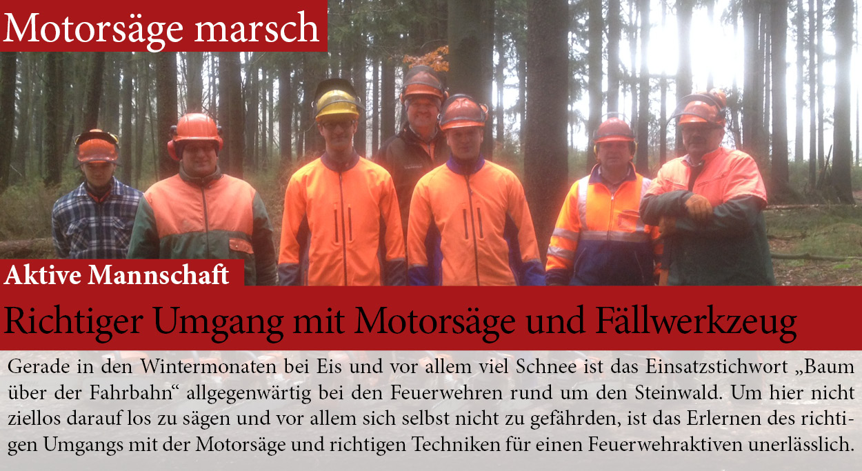 Motorsägenlehrgang Kettensäge Fälltechnik Übung Feuerwehr